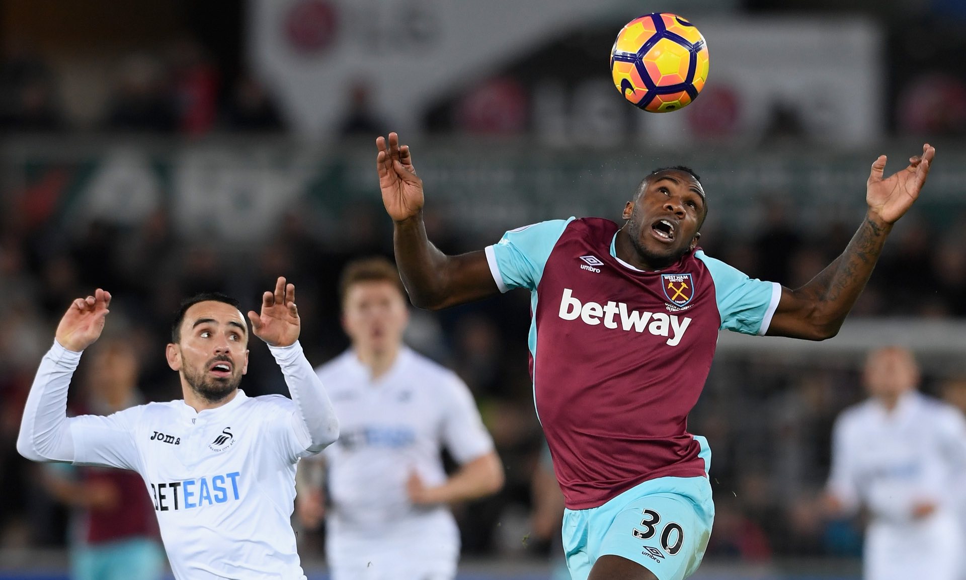 雷迪克评价 雷迪克评价